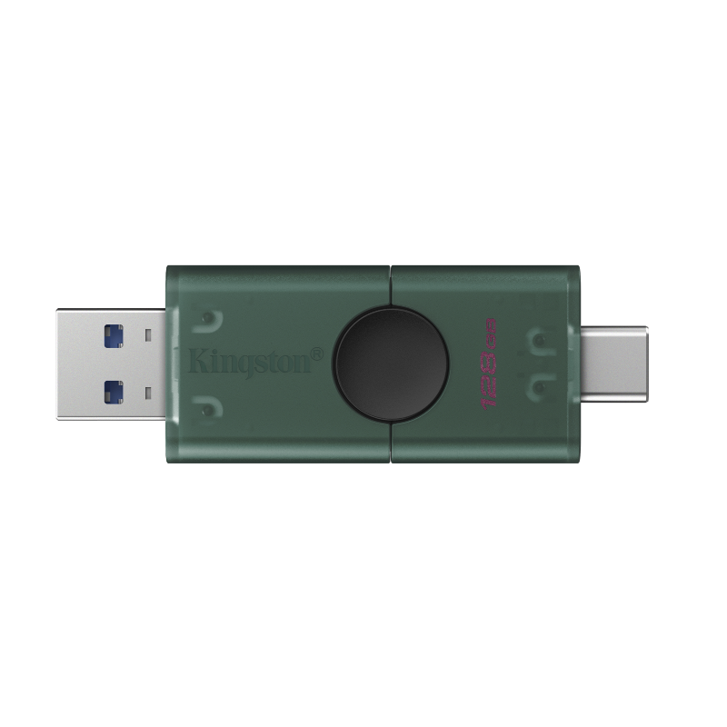 Kingston Technology DataTraveler 1