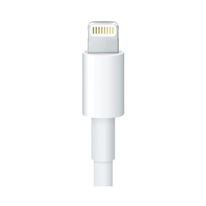 LIGHTNING CABLE 1