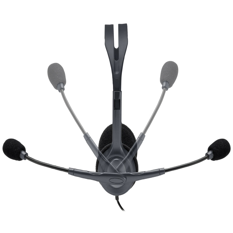 Logitech H110 Stereo Headset