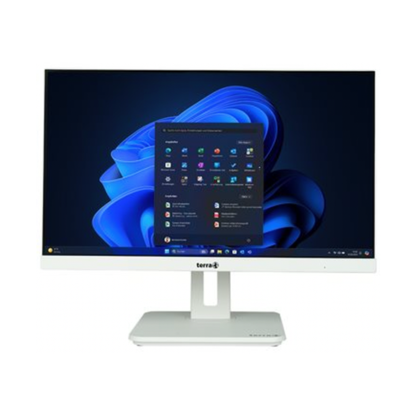 TERRA ALL IN ONE PC 2410HA wh GREENLINE